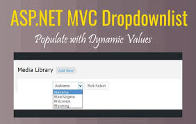 pote asp net mvc dropdownlist