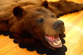cinnamon black bear rug