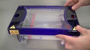 agarose gel electropsis to separate