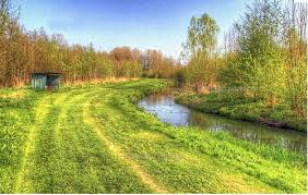 Résultat de recherche d'images pour