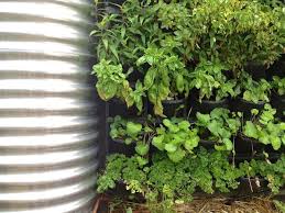 Best Edible Plants For Your Vertical Garden