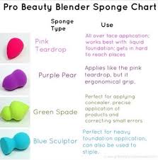 Beauty Blender Sponge Chart By Dulz