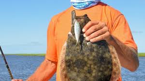 Flounder Have Miles And Miles Of Great Habitat In Brunswick
