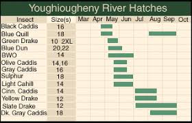 Hatch Chart Fly Fishing Diagram Accounting Chart