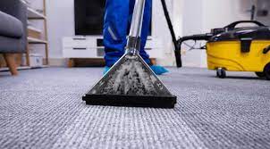 7 essential carpet cleaning tools every