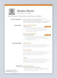 Professional Resume Templates Free Download Word Curriculum