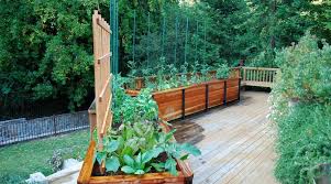 Drip Irrigation System To Your Garden