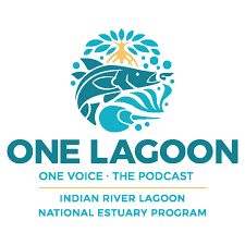 One Lagoon, One Voice: The Podcast