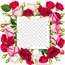 flower editable photo frames