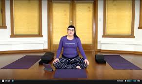 yin yoga for beginners with practice