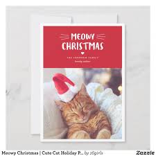 Everyone's family loves a little comedy around christmas. Custom Cat Christmas Cards Customize And Personalized Holiday Cards