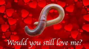 would you still love me if i was a worm