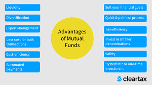 Advantages Disadvantages Of Mutual Funds