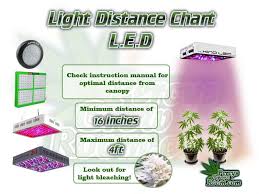 Maybe you would like to learn more about one of these? Light Distance For Growing Cannabis Percys Grow Room