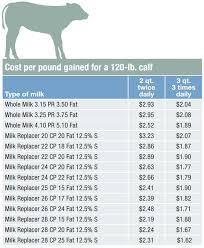 The True Cost Of Raising Milk Fed Calves Vaca Resources