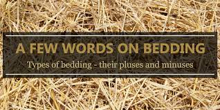 a few words on bedding equi
