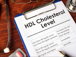 What Is Cholesterol Ratio And Why Is It Important