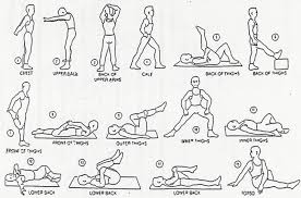 Free Stretching Charts Physiotherapy Chart Sports Physio