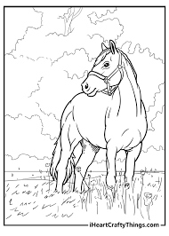 horse coloring pages 100 free printables