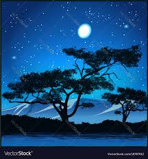 starry night royalty free vector image