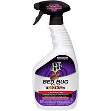 the best bed bug spray options top