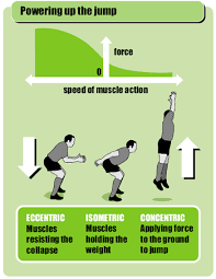 rugby coach weekly fitness