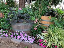 Wine Barrel Planters In Your Garden