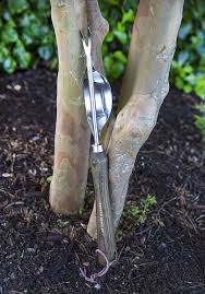 joseph bentley traditional garden tools