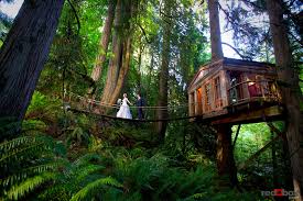 the wedding of laura tim at treehouse point in issaquah wash on sunday