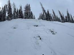 The warnings were issued by the northwest avalanche center, which said at least 30 people in the united states had been killed in avalanches so far this season. 2 Avalanche Fatalities Reported In Northwest Wyoming This Week County 10