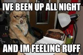 Over enthusiastic revision dog memes | quickmeme via Relatably.com