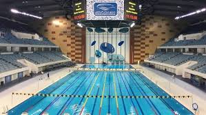 Residential apartments / luxury building commercial units (shop). Pools Are Now Open Dubai Sports Council Confirms News Khaleej Times