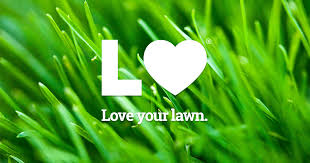 Boca Raton Lawn Care Services From 29 Lawn Love