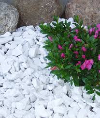 Rocks are a great low maintenance ground cover, that when done right look great. White Marble Chips Cape Cod Ma Ri Ct Nh