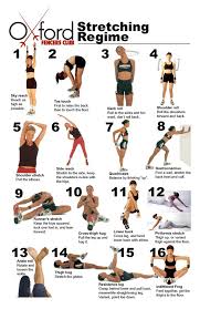 40 Charts Of Post Workout Stretches To Prevent Injuries