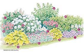 A Beginners Guide To Planting A Flower