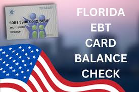 florida ebt card balance 2024 know
