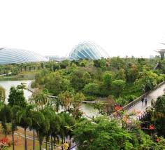 Gardens By The Bay Singapore Book