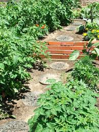 Rocketts Landing Community Gardens Grow