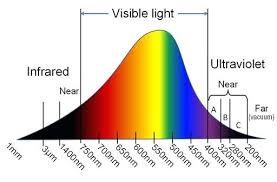 Light Bulb Spectrum Incandescent Light Bulb Emission Spectrum