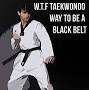 taekwondo black belt levels wtf from googleweblight.com