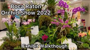 boca raton orchid society exhibit