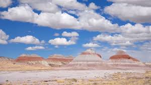 painted desert in arizona tours and