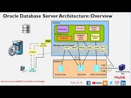 oracle database server architecture