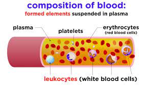 the composition and function of blood