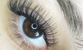 olive branch brows lashes deals in