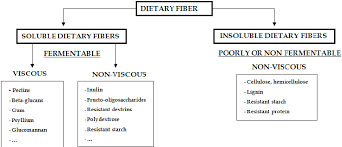 Classification Of Dietary Fiber According To Chemical