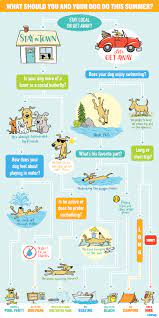 what summertime dog friendly activity