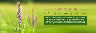 clary sage oil uses benefits of a