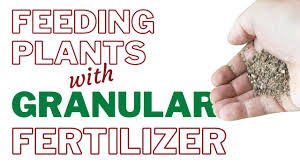 apply granular organic fertilizer